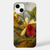 Orchids and Hummingbird Heade