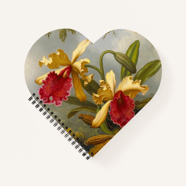 Orchids and Hummingbird Heade Notebook (Front)