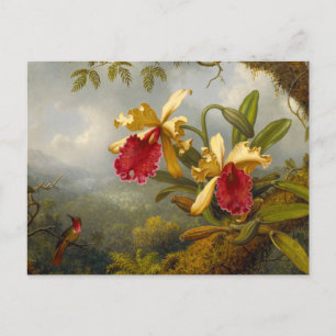 Orchids and Hummingbird Heade Postcard