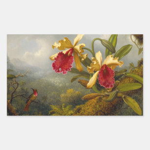 Orchids and Hummingbird Heade Rectangular Sticker