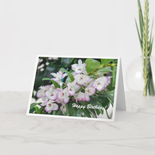 Orchids Birthday Card (Front)