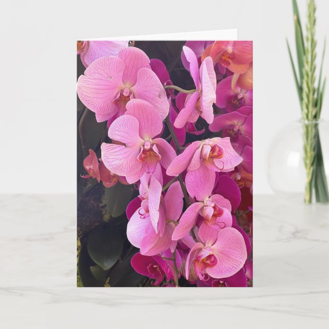 Orchids Blank Note Card (Front)