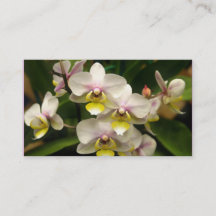 Orchids Business cards