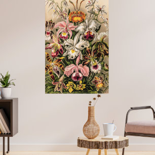 Orchids by Ernst Haeckel Poster