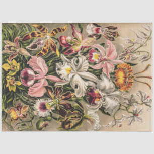 Orchids by Ernst Haeckel Tissue Paper