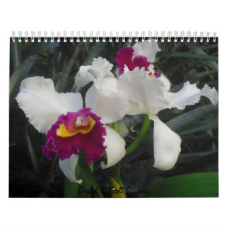 Orchids by Scott S. Jones Calendar