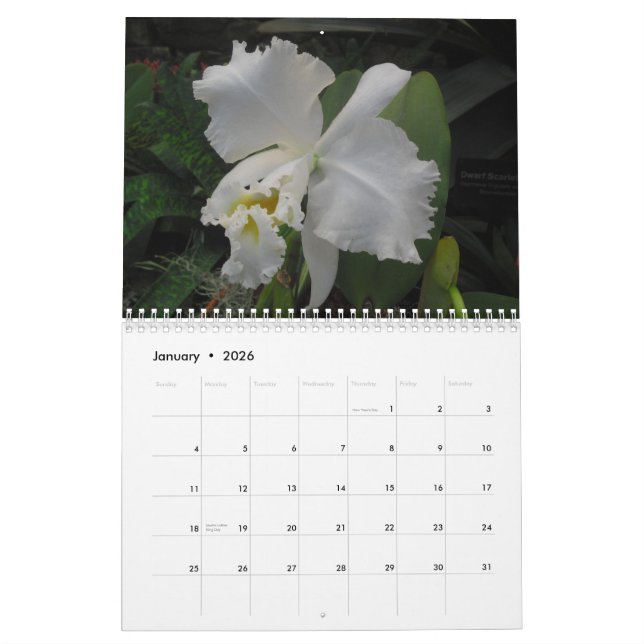 Orchids by Scott S. Jones Calendar (Jan 2026)