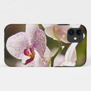 Orchids by Shirley Taylor Case-Mate iPhone Case