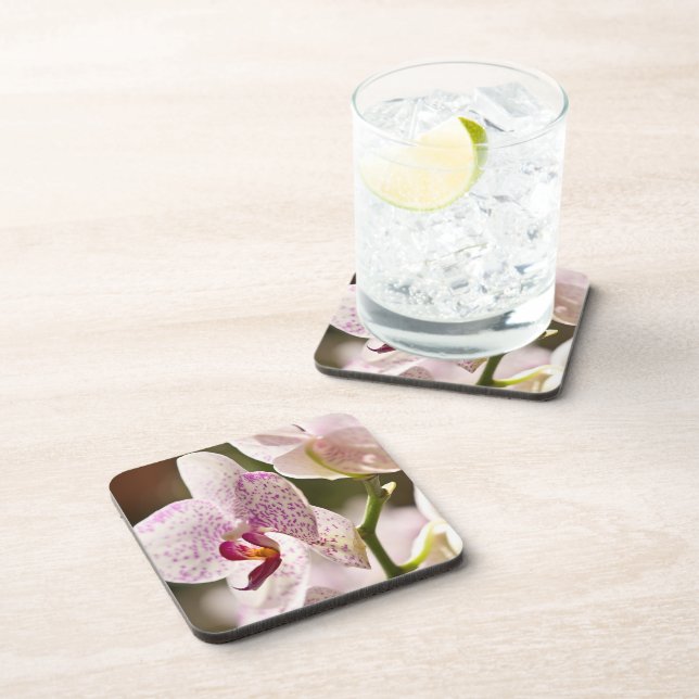 Orchids by Shirley Taylor Coaster (Right Side)