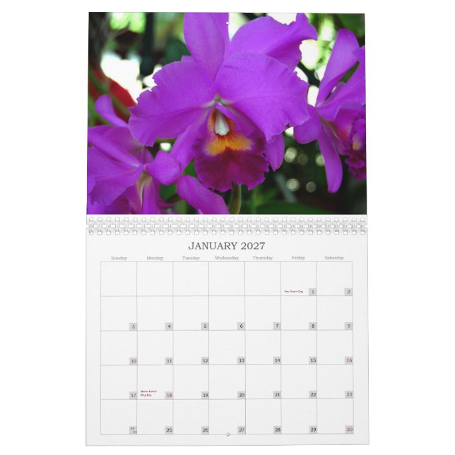 Orchids Calendar (Jan 2027)