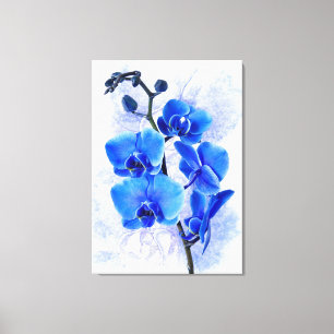 Orchids Canvas Print