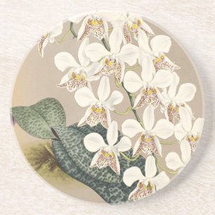 Orchids Coaster
