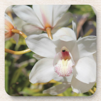 Orchids Coaster