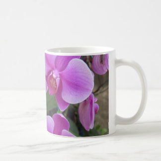 Orchids Coffee Mug
