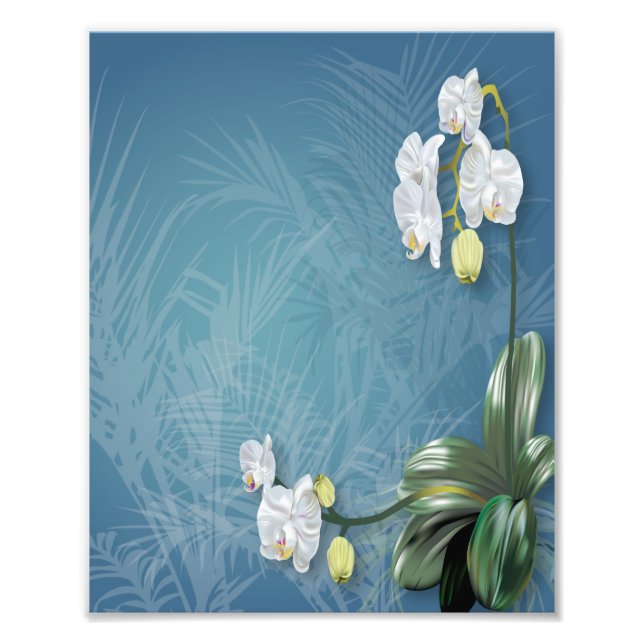 Orchids & Ferns Photo Print (Front)