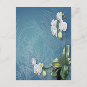 Orchids & Ferns Postcard