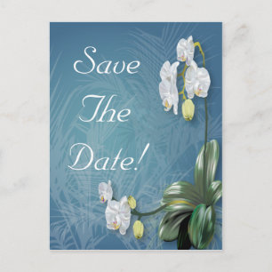 Orchids & Ferns Wedding Svae The Date Announcement Postcard