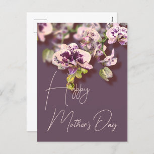Orchids Floral Happy Mother’s Day Holiday Postcard