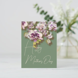 Orchids Floral Happy Mother’s Day Holiday Postcard