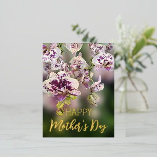 Orchids Floral Happy Mother’s Day Real Gold Foil Holiday Postcard