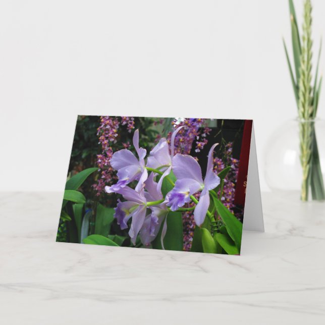 Orchids Greeting Card (Front)