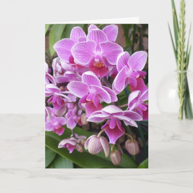 Orchids Holiday Card (Front)