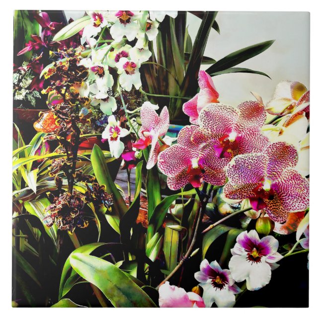 Orchids in the Garden Centre Tile (Front)