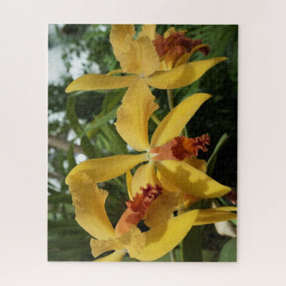 Orchids Jigsaw Puzzle