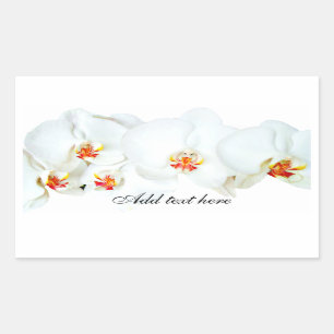 Orchids Love_ Rectangular Sticker