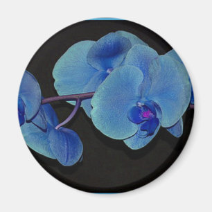 Orchids Magnet