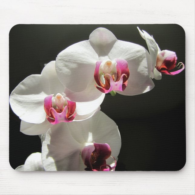 Orchids Mouse Pad (Front)