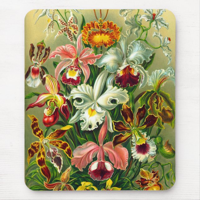 Orchids Mouse Pad (Front)