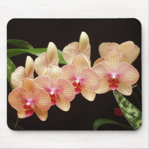 Orchids! Mouse Pad
