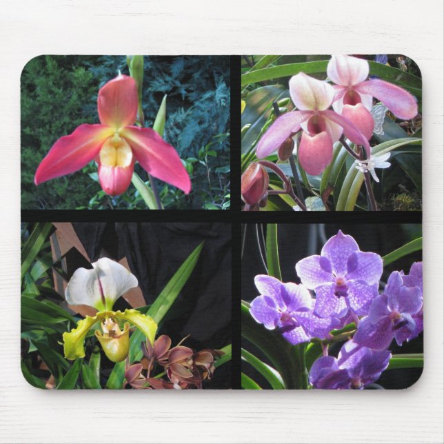 Orchids Mousepad (Front)