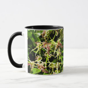 Orchids Mug