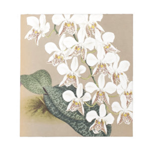 Orchids Notepad