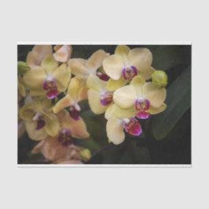 Orchids of pink and yellow tissue paper