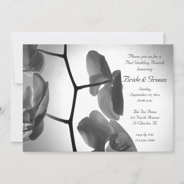 Orchids on the Stem Post Wedding Brunch Invitation (Front)
