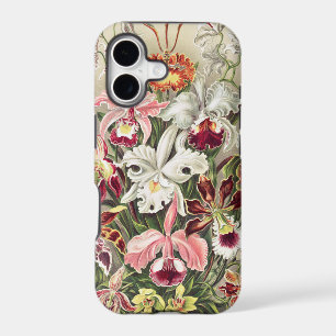 Orchids, Orchideae Denusblumen by Ernst Haeckel