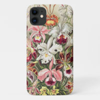 Orchids, Orchideae Denusblumen by Ernst Haeckel