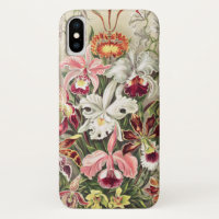 Orchids, Orchideae Denusblumen by Ernst Haeckel