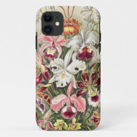 Orchids, Orchideae Denusblumen by Ernst Haeckel