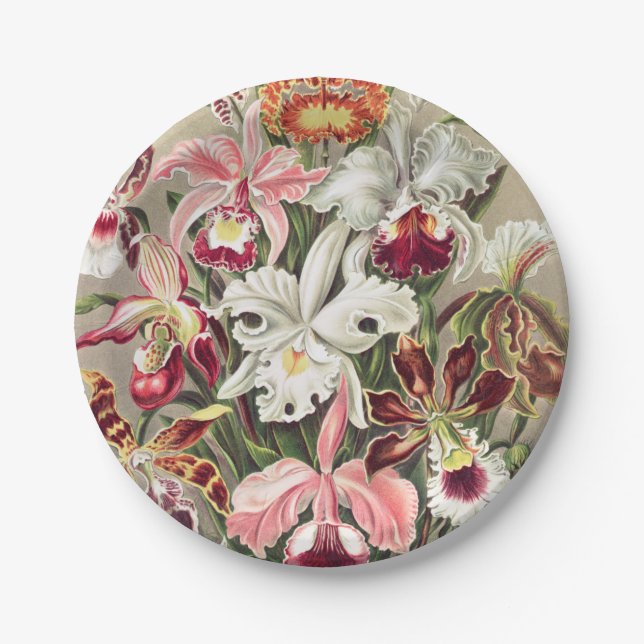 Orchids, Orchideae Denusblumen by Ernst Haeckel Paper Plate (Front)