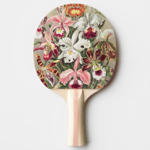 Orchids, Orchideae Denusblumen by Ernst Haeckel Ping Pong Paddle