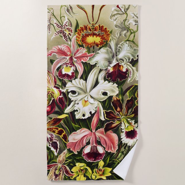Orchids, Orchideae Denusblumen Ernst Haeckel  Beach Towel (Front)