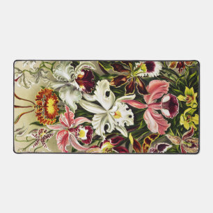 Orchids, Orchideae Denusblumen Ernst Haeckel Desk Mat