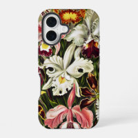 Orchids, Orchideae Denusblumen Ernst Haeckel