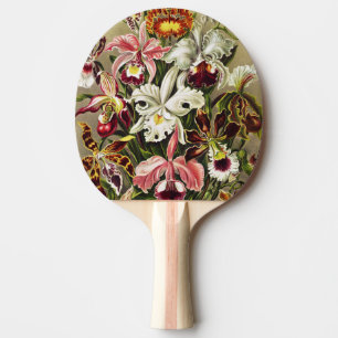 Orchids, Orchideae Denusblumen Ernst Haeckel Ping Pong Paddle