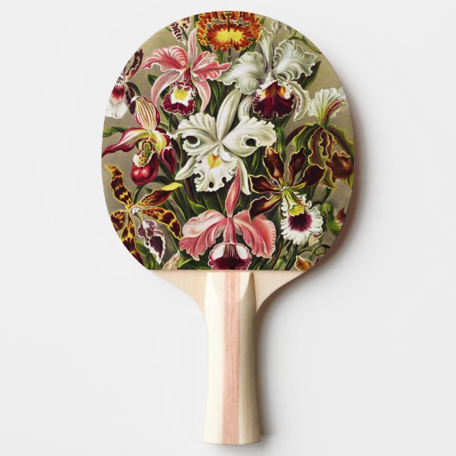 Orchids, Orchideae Denusblumen Ernst Haeckel  Ping Pong Paddle (Front)