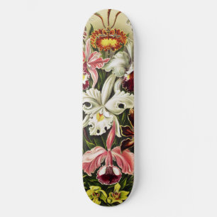 Orchids, Orchideae Denusblumen Ernst Haeckel Skateboard